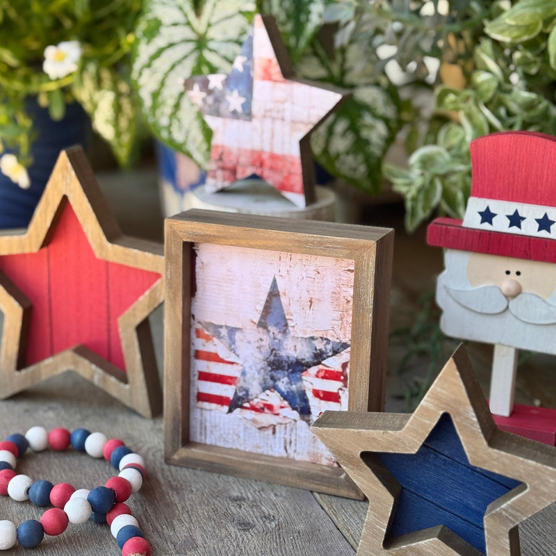 SW-3229 - Salute the Flag Frame