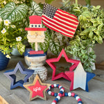 PS-8301 - Navy Hollow Star