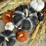 CF-3302 - Sm. White Corduroy Pumpkin