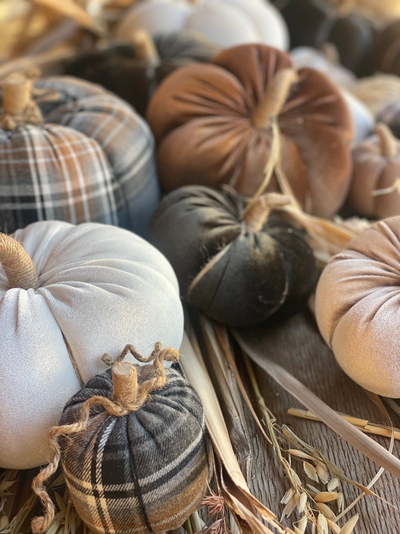 CF-3168 - XL White Velvet Pumpkin