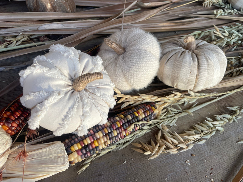 CF-3140 - Sm. Cream Fuzzy Fabric Pumpkin