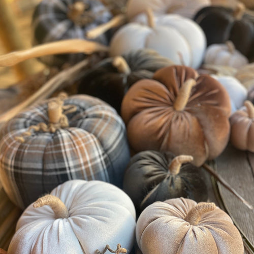CF-3119 - Med. Pecan Velvet Pumpkin