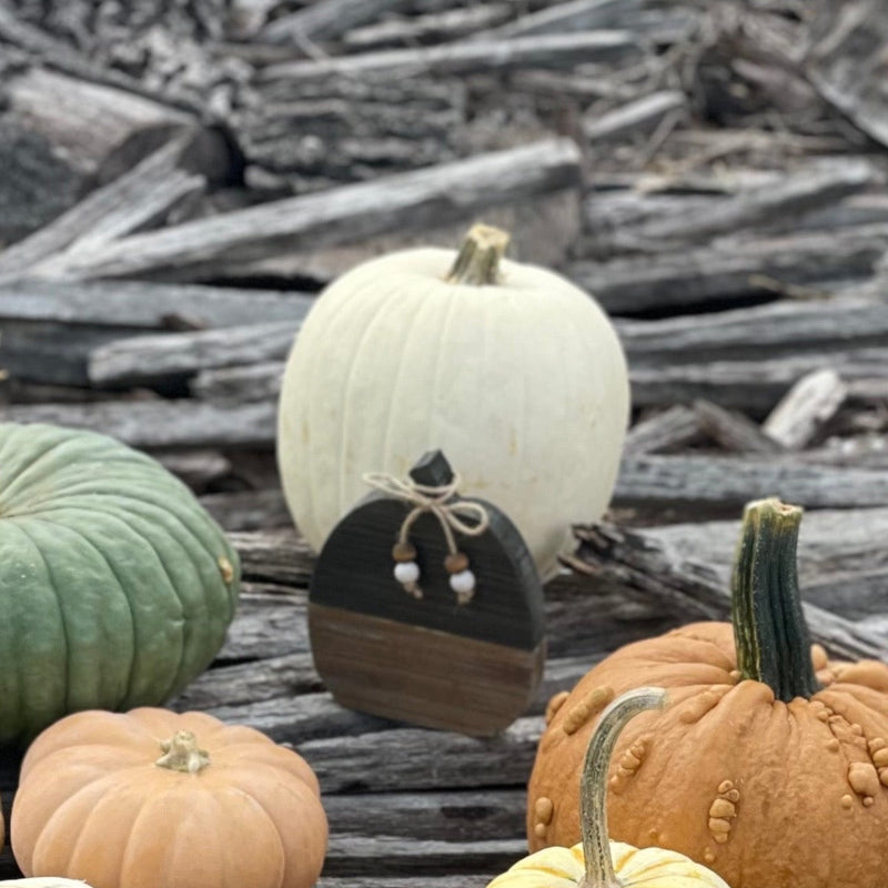 CA-5087 - Small Black/Wood Plank Pumpkin