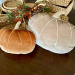 CF-3405 - Lrg. Desert Velvet Pumpkin Pillow