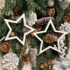 FR-3809 - Sm. White Glitter Hollow Star Ornie