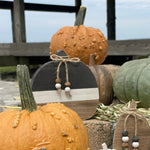 CA-5088 - Med. Black/White/Wood Plank Pumpkin