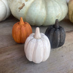 CA-5243 - Sm. White 3D Carved Pumpkin