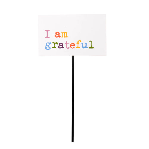 Grateful Pot Pick