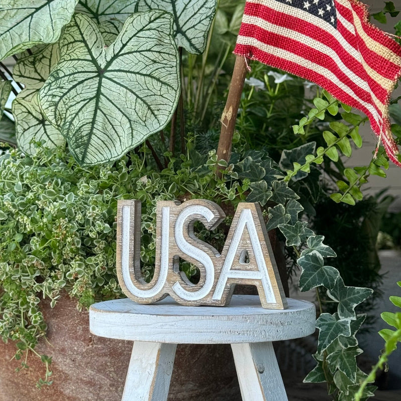 PS-8425 - USA Carved Word