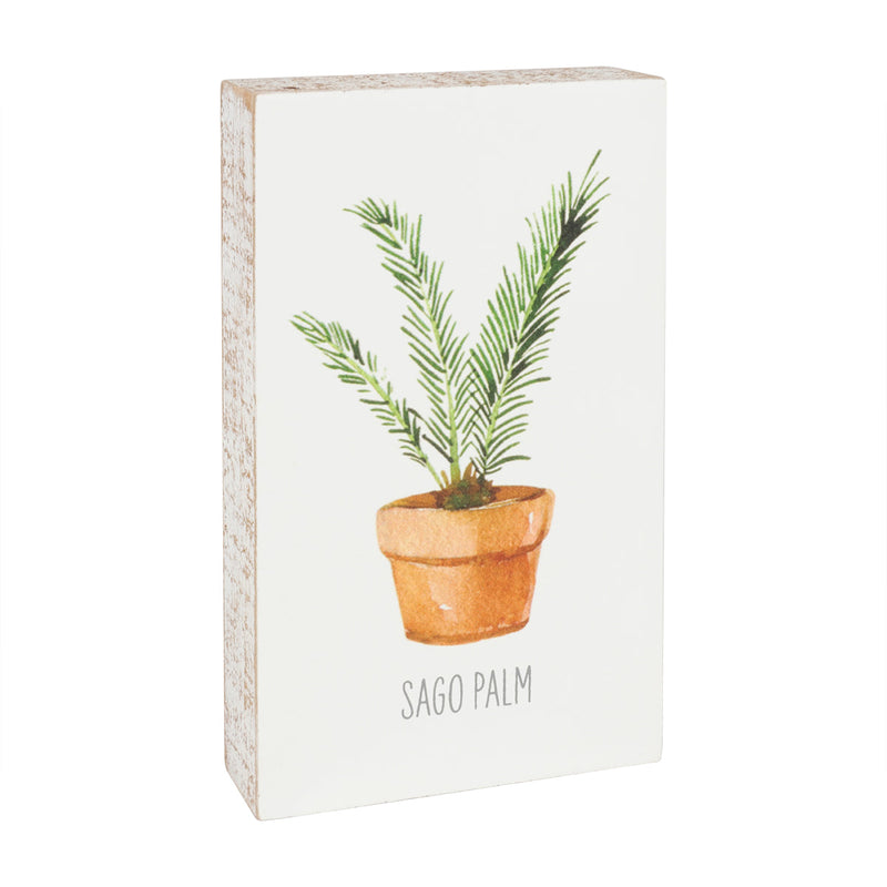 Sago Palm Block