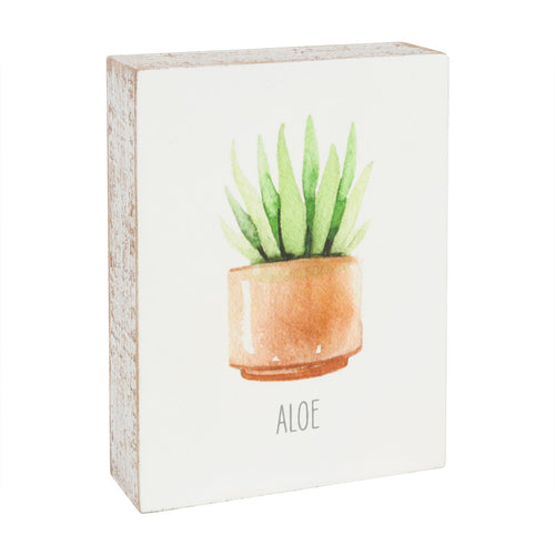 Aloe Block