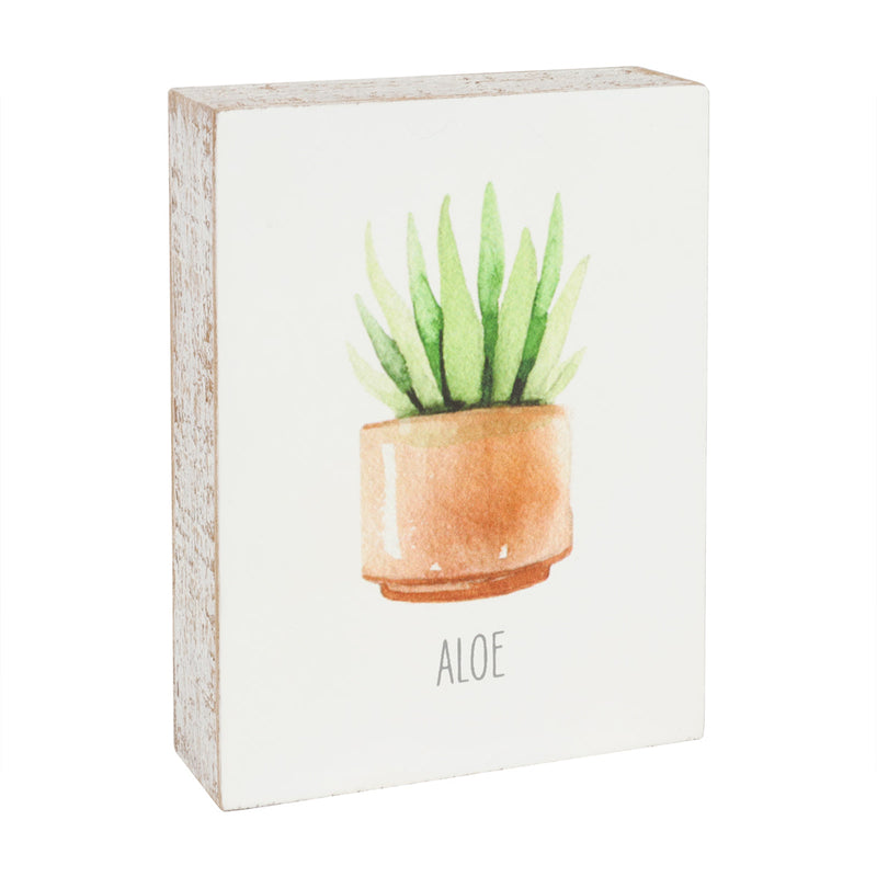 Aloe Block