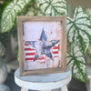 SW-3229 - Salute the Flag Frame