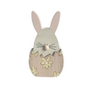 Lucy Bunny Egg