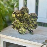 SW-3322 - Riona Shamrock