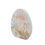 Vanessa Egg