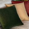 CF-3493 - Evergreen Velvet 20x20 Pillow