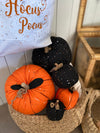 CF-2419 - *XL Black Speckled Pumpkin