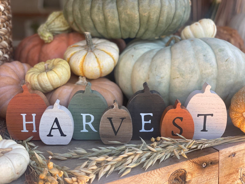 CA-5199 - Harvest Pumpkin Cutout Sitter
